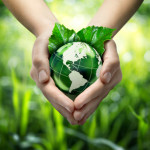 sustainable disaster recovery